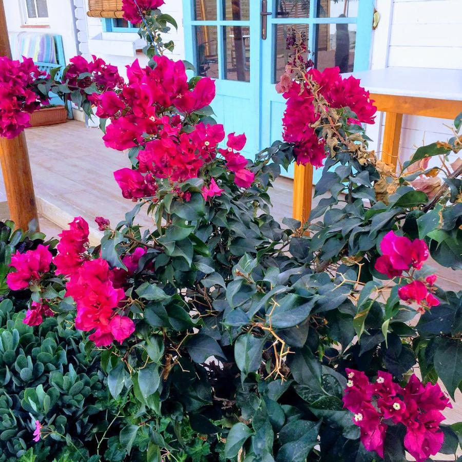 Beautiful Vintage Bungalow Wifi Parking. Las Galletas Exterior foto