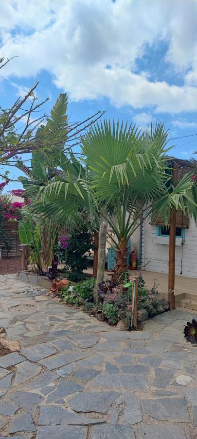 Beautiful Vintage Bungalow Wifi Parking. Las Galletas Exterior foto